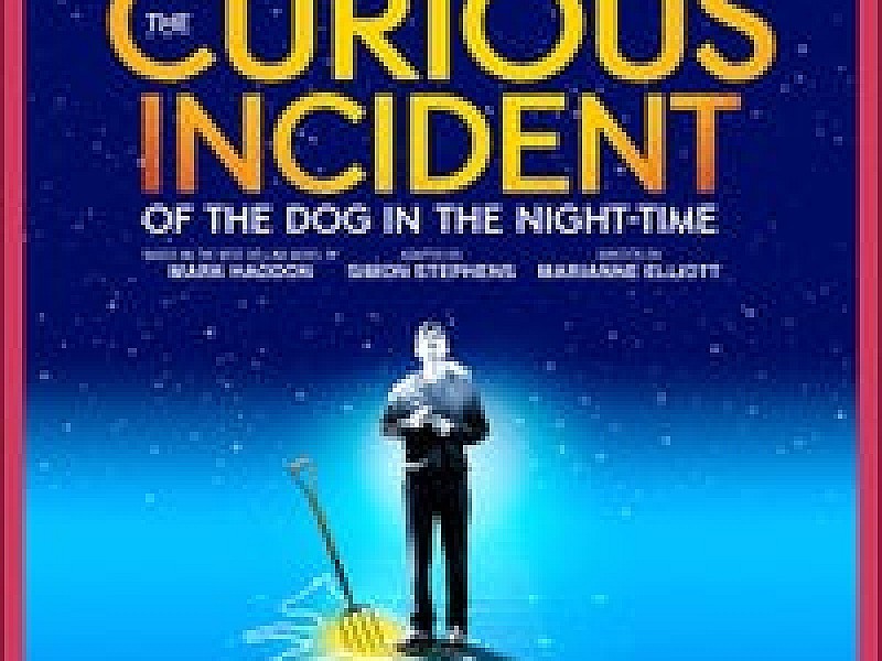 The Curious Incident of the Dog in the Night-Time
