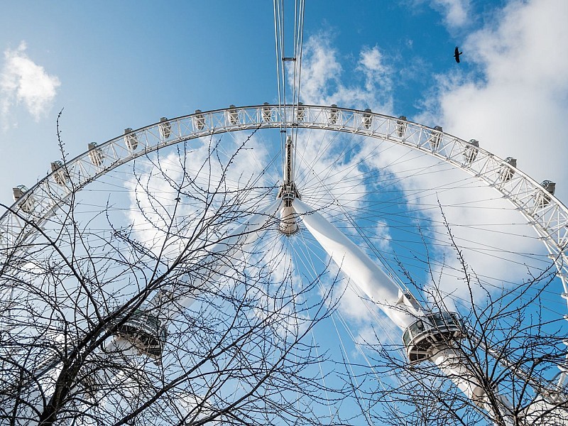 Royal London Tour with The London Eye