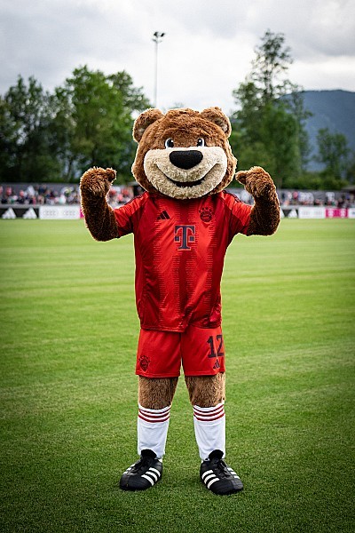 Entradas para el FC Bayern München